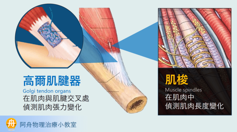 米兰体育:王者荣耀职业选手的个人训练方法，提升水平的秘密的简单介绍