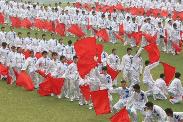 米兰体育：团队合作的力量：那些年那个不可或缺的角色的简单介绍
